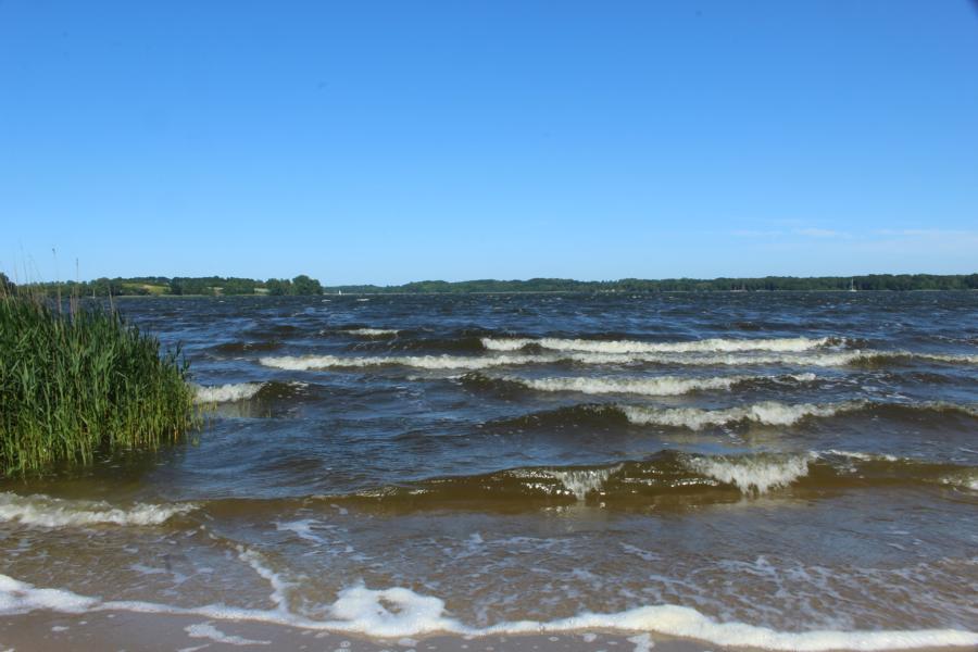 Seegang auf der Schlei