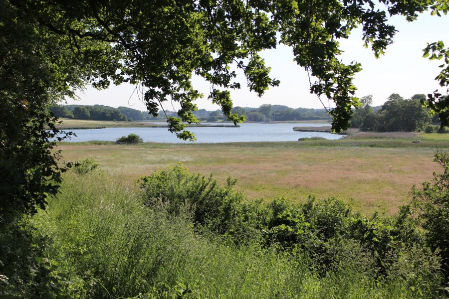 Idyllische Kulisse vom Landarzt