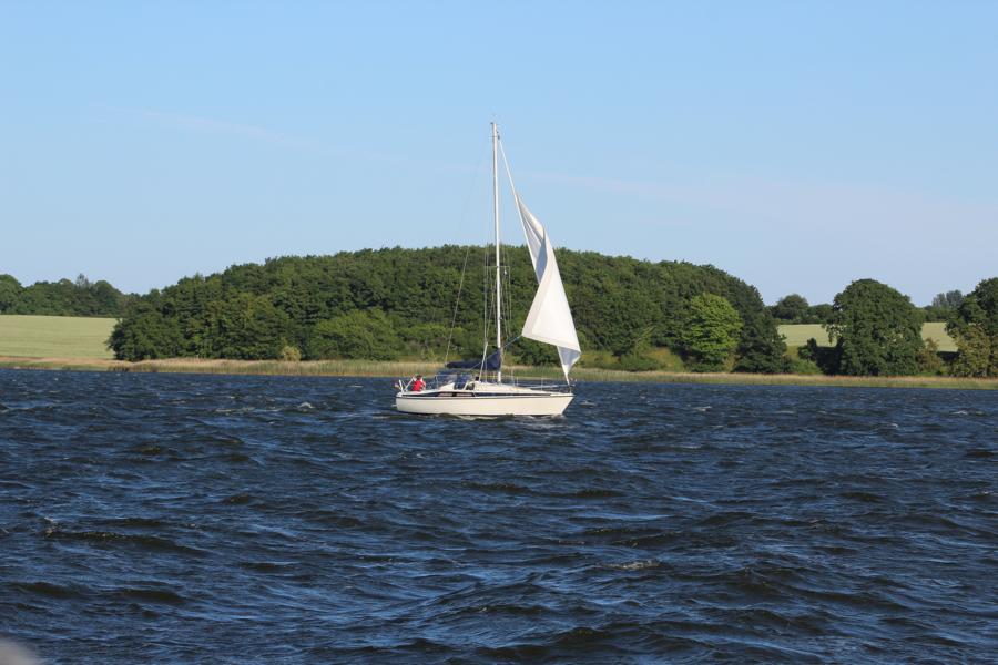 Segeln auf der Schlei
