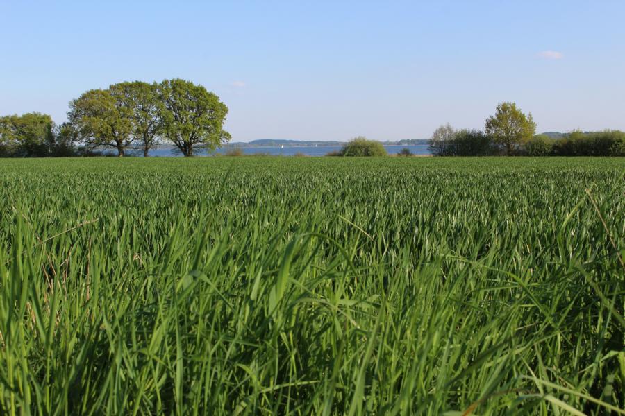 Von der Eiszeit geformte Landschaft